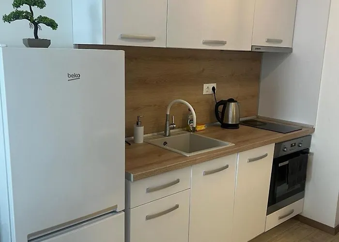 Апартамент Svelena 1 *